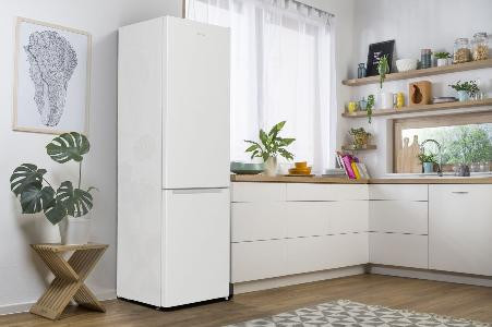 Холодильник RK6201EW4 Gorenje Gorenje